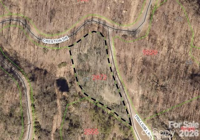 28 Trillium Lane C-1, Black Mountain, NC 28711