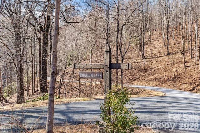 28 Trillium Lane C-1, Black Mountain, NC 28711