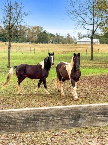 228 Indian Creek Road, Locust Grove, GA 30248