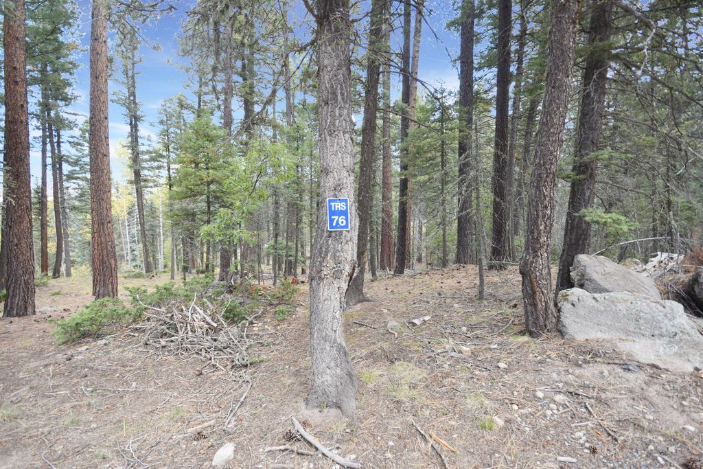 Lot 12 Chipmunk Trail Jemez Homes and Land, LLC