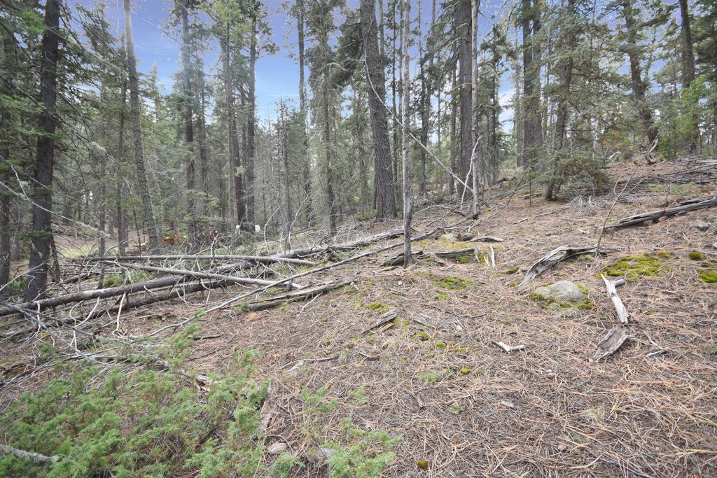 Lot 12 Chipmunk Trail Jemez Homes and Land, LLC