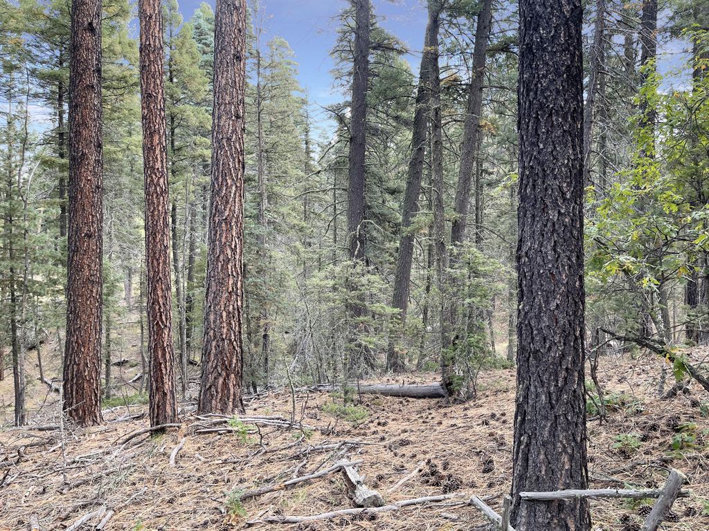 Lot 12 Chipmunk Trail Jemez Homes and Land, LLC