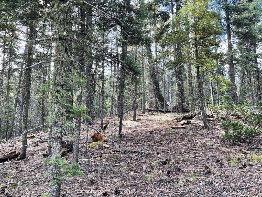Lot 12 Chipmunk Trail Jemez Homes and Land, LLC