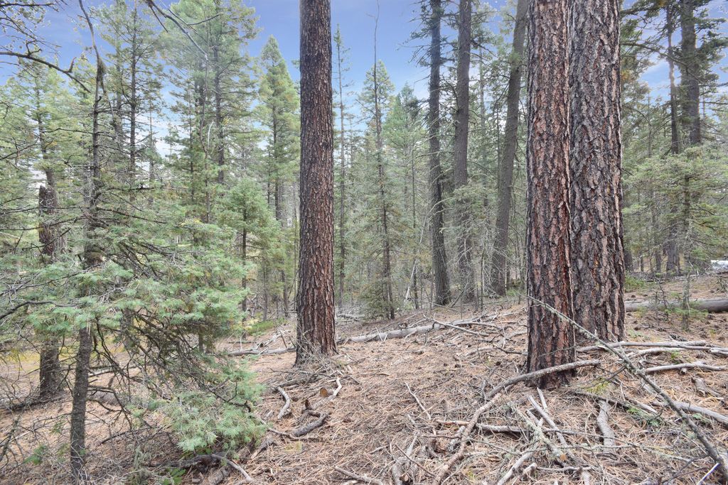 Lot 12 Chipmunk Trail Jemez Homes and Land, LLC