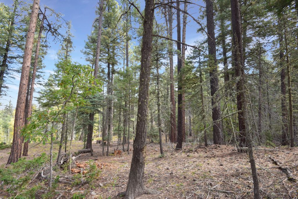 Lot 12 Chipmunk Trail Jemez Homes and Land, LLC