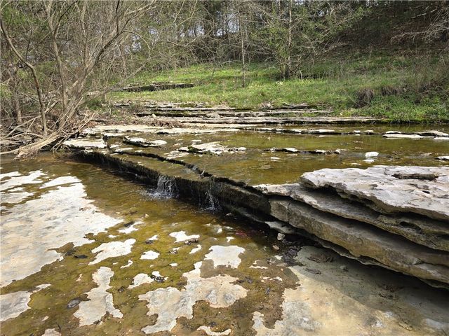 1511 County Road 617, Green Forest, AR 72638