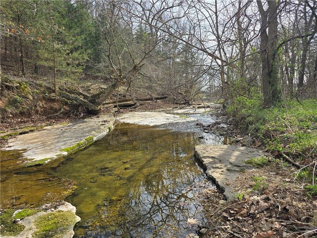 1511 County Road 617, Green Forest, AR 72638