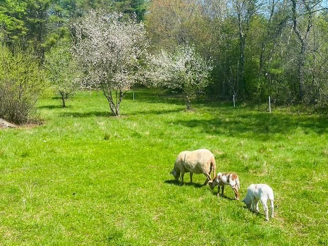 1168 New Hampton Road, Sanbornton, NH 03269