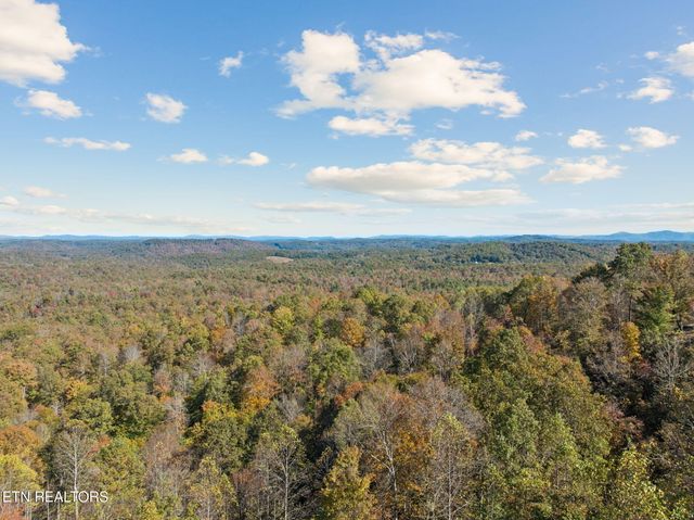 Sheep Ranch Rd., Robbins, TN 37852