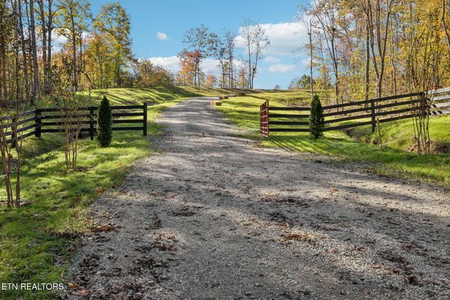 Sheep Ranch Rd., Robbins, TN 37852