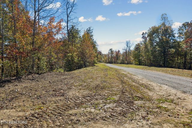 Sheep Ranch Rd., Robbins, TN 37852