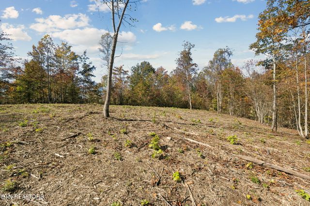 Sheep Ranch Rd., Robbins, TN 37852