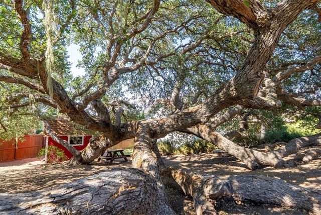 676 Red Cloud, Paso Robles, CA 93446