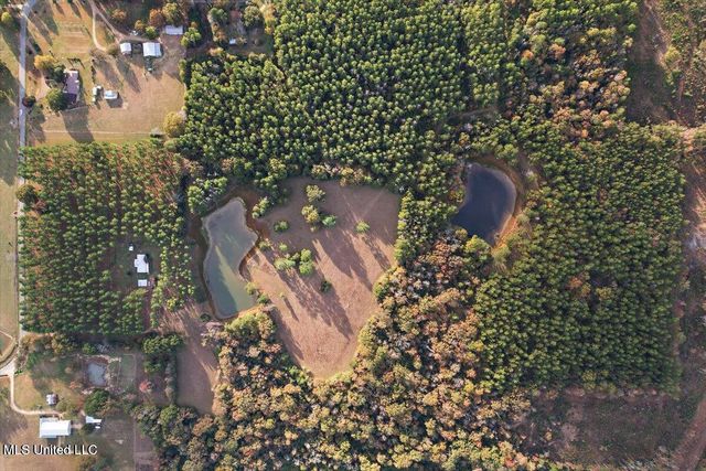 00 Anse Reed Road, Magee, MS 39111