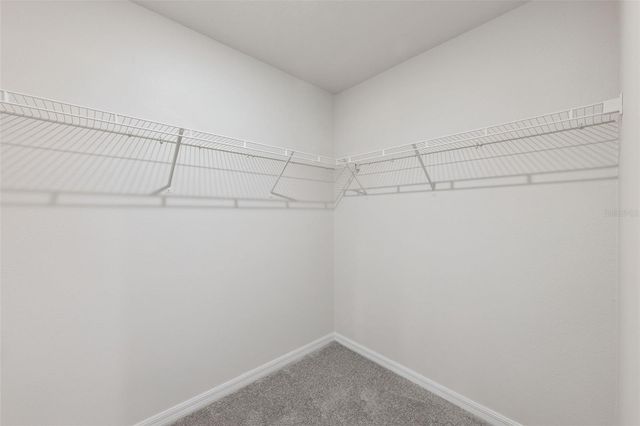 1904 PIEDMONT COURT, Mascotte, FL 34753