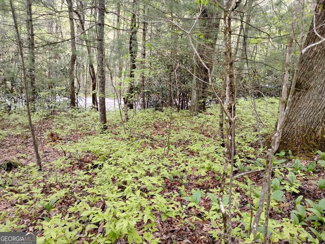 0 Rebel Circle LOT 39, Sky Valley, GA 30537