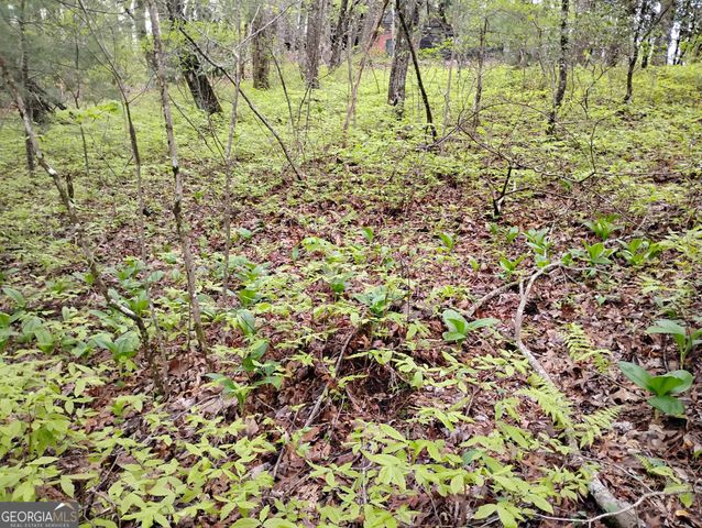 0 Rebel Circle LOT 39, Sky Valley, GA 30537