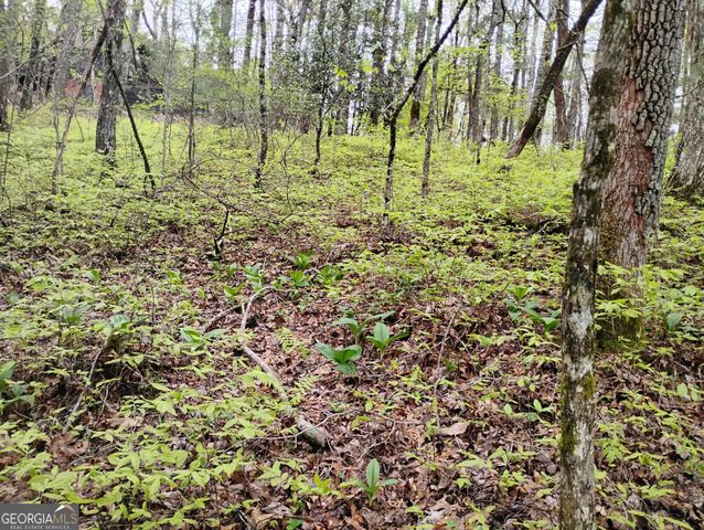 0 Rebel Circle LOT 39, Sky Valley, GA 30537