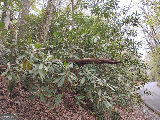 0 Rebel Circle LOT 39, Sky Valley, GA 30537