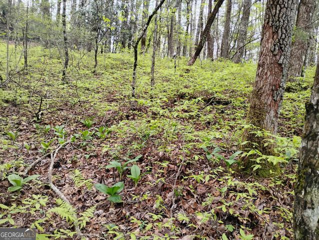 0 Rebel Circle LOT 39, Sky Valley, GA 30537