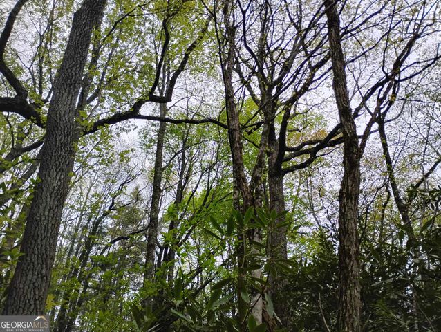0 Rebel Circle LOT 39, Sky Valley, GA 30537