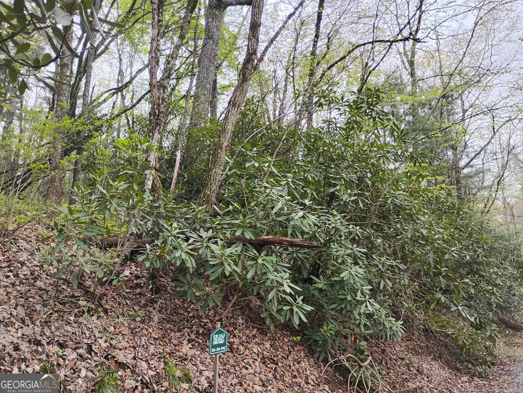 0 Rebel Circle LOT 39, Sky Valley, GA 30537