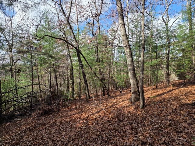 Lot 10 Wildcat Creek, Suches, GA 30572