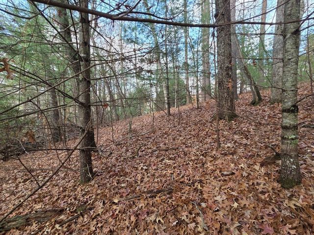 Lot 10 Wildcat Creek, Suches, GA 30572