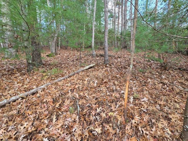 Lot 10 Wildcat Creek, Suches, GA 30572