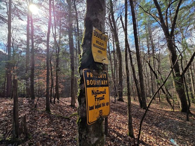 Lot 10 Wildcat Creek, Suches, GA 30572