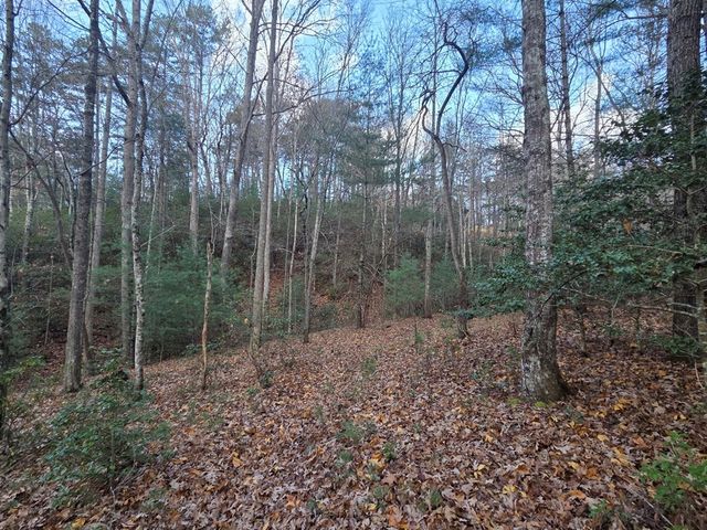 Lot 10 Wildcat Creek, Suches, GA 30572