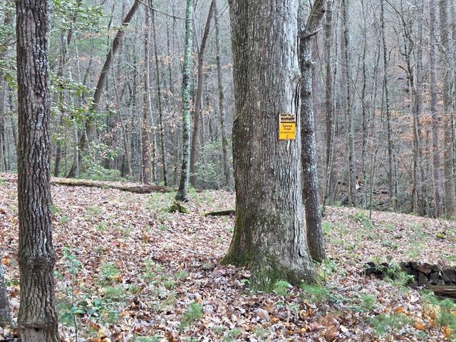 Lot 10 Wildcat Creek, Suches, GA 30572