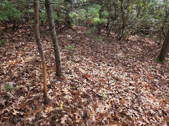 Lot 10 Wildcat Creek, Suches, GA 30572