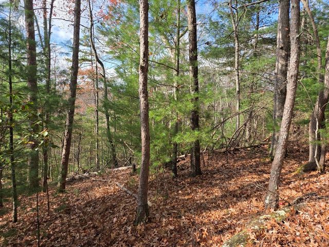 Lot 10 Wildcat Creek, Suches, GA 30572