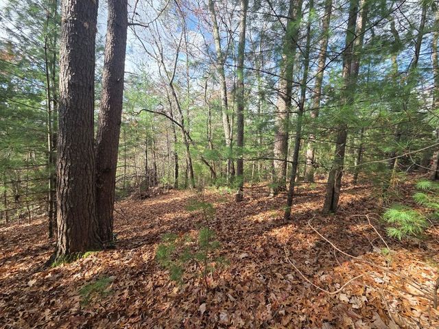 Lot 10 Wildcat Creek, Suches, GA 30572