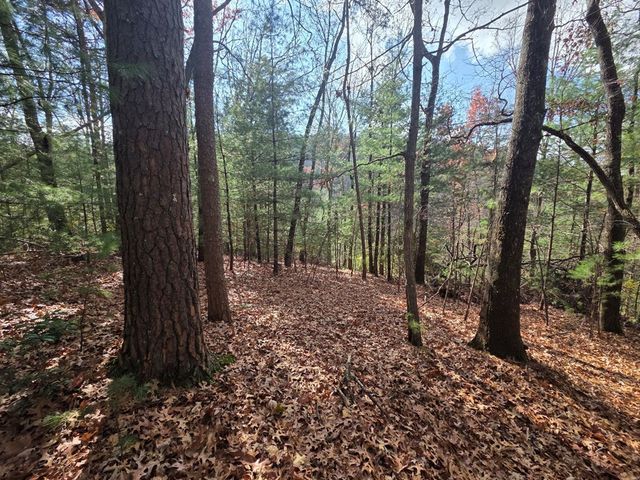 Lot 10 Wildcat Creek, Suches, GA 30572