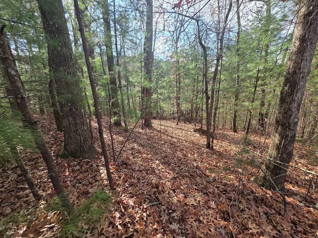 Lot 10 Wildcat Creek, Suches, GA 30572
