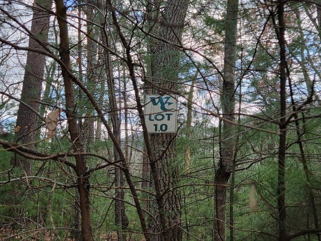 Lot 10 Wildcat Creek, Suches, GA 30572