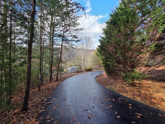 Lot 10 Wildcat Creek, Suches, GA 30572