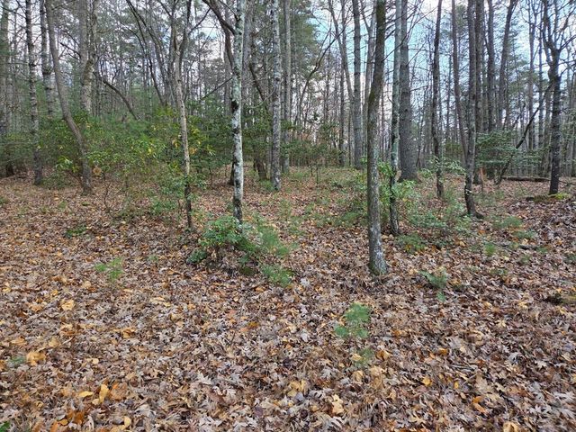 Lot 10 Wildcat Creek, Suches, GA 30572