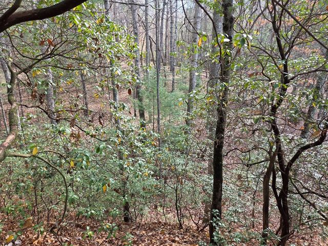 Lot 10 Wildcat Creek, Suches, GA 30572