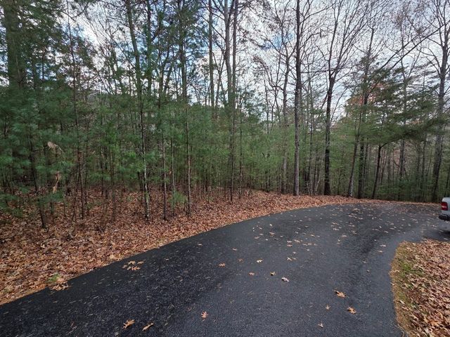 Lot 10 Wildcat Creek, Suches, GA 30572