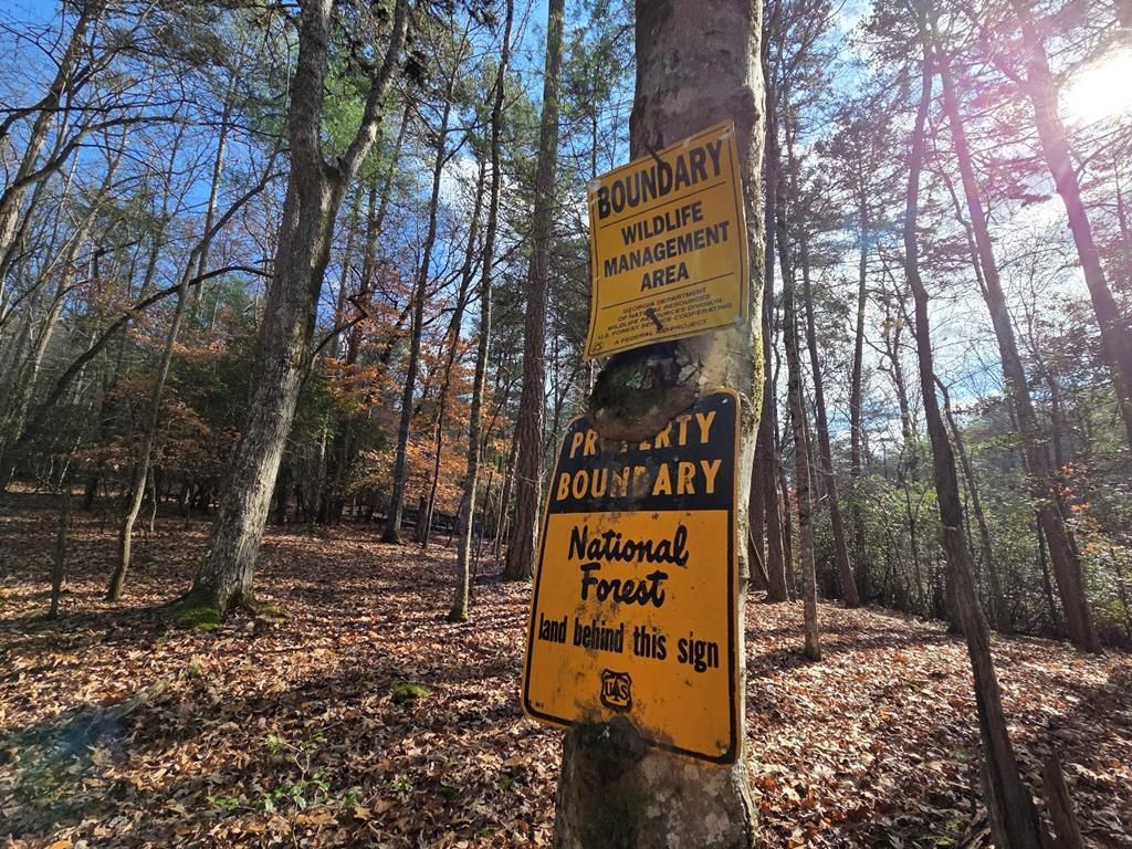 Lot 10 Wildcat Creek, Suches, GA 30572