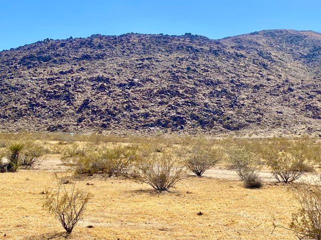 4225 Benji Avenue, Joshua Tree, CA 92252