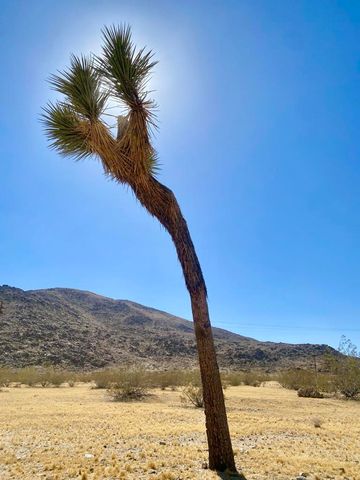 4225 Benji Avenue, Joshua Tree, CA 92252