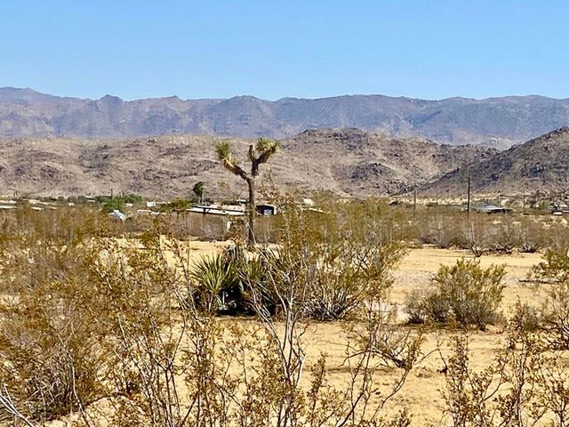 4225 Benji Avenue, Joshua Tree, CA 92252