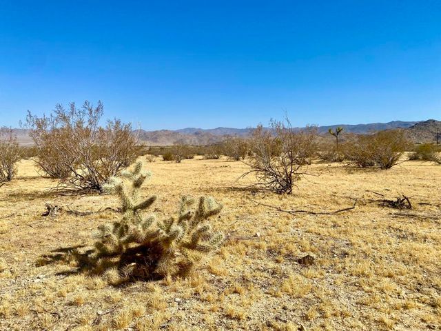 4225 Benji Avenue, Joshua Tree, CA 92252