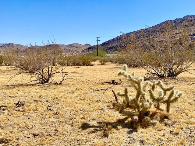 4225 Benji Avenue, Joshua Tree, CA 92252