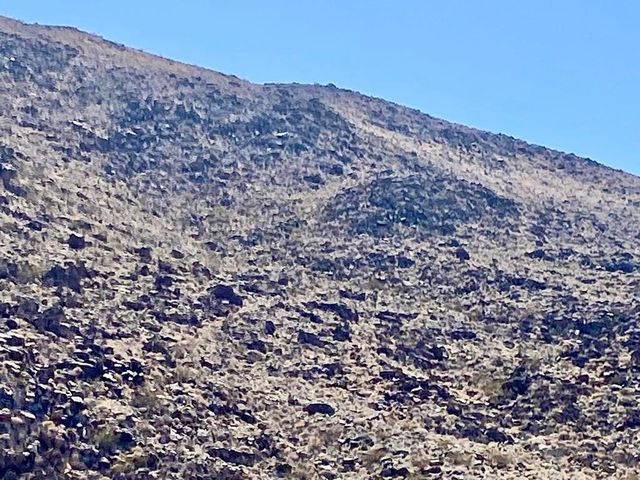4225 Benji Avenue, Joshua Tree, CA 92252