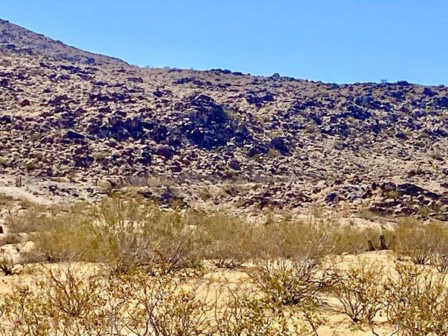 4225 Benji Avenue, Joshua Tree, CA 92252